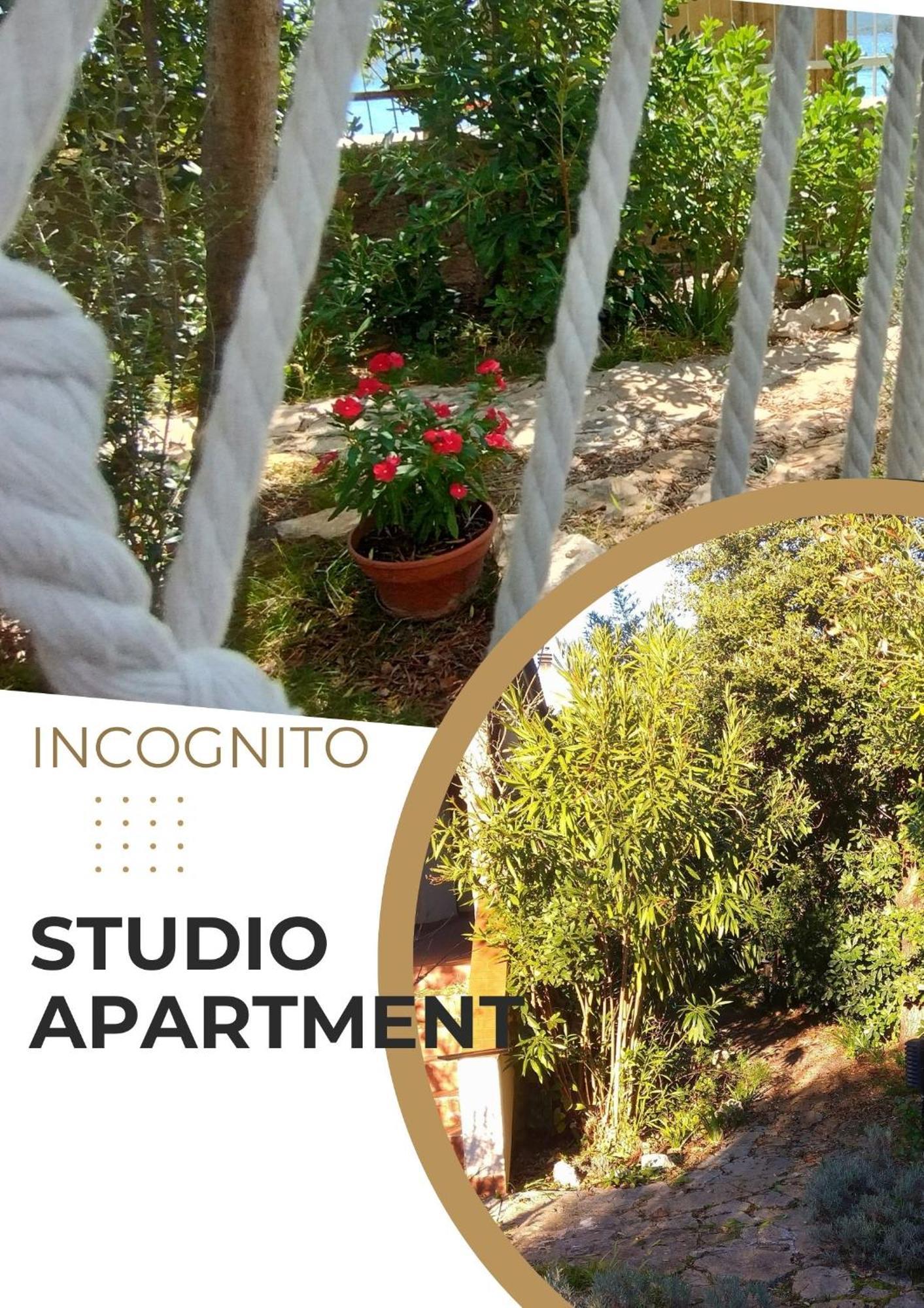 סבטי פיליפ אי ג'קוב Adria Apartments מראה חיצוני תמונה